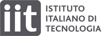 IIT logo